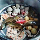 请立刻马上关注她！关注她！