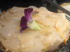 -新草堂锅物料理(泉城路店)
