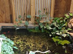 -邈墨茶馆(大兜路1号店)
