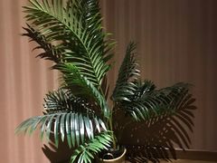 -泰享受·泰式按摩·SPA(海珠广纸店)