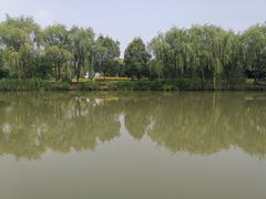 -白塔湖国家湿地公园