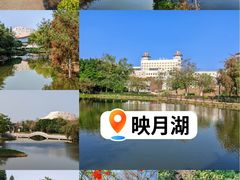 -映月湖公园