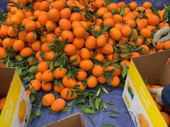 奉节脐橙-双福水果批发市场