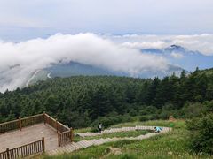 -白草畔自然风景区