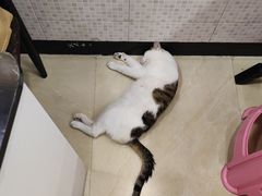 -玉椰林甜品店(创始店)