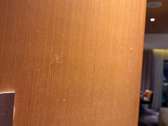 -苏州金鸡湖文博诺富特酒店