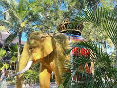-中国科学院西双版纳热带植物园