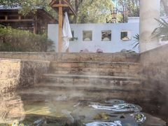 -深业半汤御泉庄温泉