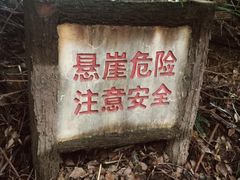 -金鸡山公园