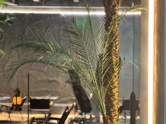 -J Create城市露营咖啡·简餐·宠物(上海动物园店)