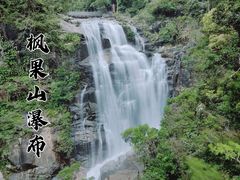 -海南热带雨林国家公园吊罗山景区