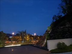 -雅苑中餐厅