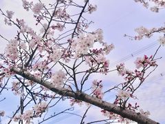 -长田漾湿地公园
