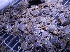 -聚盛源蒸汽海鲜火锅烤肉自助(巨川金海岸购物广场店)