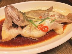 -大鸽饭(马王堆店)