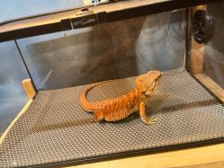 -酷嗒动物文化乐园(cutezoo西溪乐天城店)