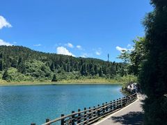 -武陵山森林公园