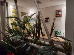 -北里·4k影院式足疗SPA馆(观音桥店)