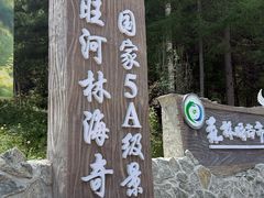 -汤旺河林海奇石景区