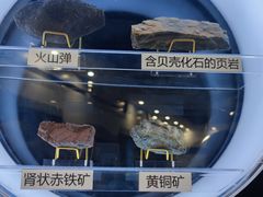 -上海儿童博物馆