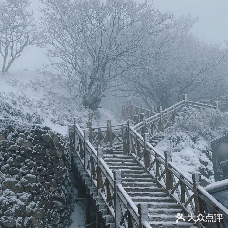 南方冬日的最佳打开方式——玩转云上草原滑雪场
