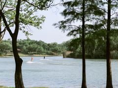 -长广溪湿地公园