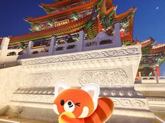 -0317火锅鸡·清真(正达店)