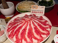 -小龙坎火锅(全球旗舰店)