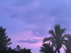 -婉泰·特色小吃·舂鸡脚(告庄二店)