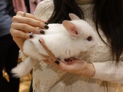 -藦茜花园宠物主题亲子互动体验馆(国顺东路店)