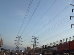 -中环花鸟鱼虫市场