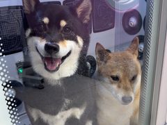 -FAELING PETS美天灵宠物(富力广场店)
