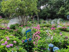 -上海共青森林公园