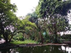 -新加坡飞禽公园