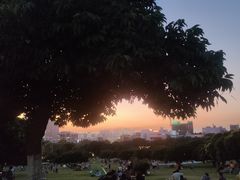 -红花山公园