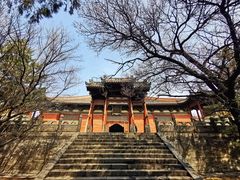 -善化寺