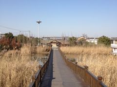 -苏州太湖国家湿地公园