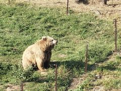 -青藏高原野生动物园