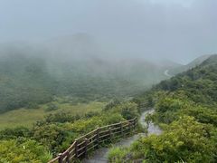 -大围山国家森林公园