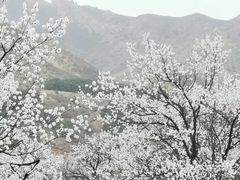 -乌素图国家森林公园