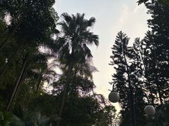 -晓港公园