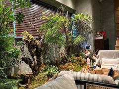 -森SPA·泰式按摩·精油Massage(宝安中心店)