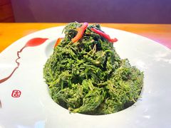 -潍城老菜馆·地标美食