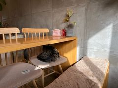 -青莯_Percher Coffee Shop(皮市街店)
