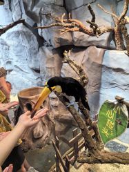 -Zoolung Zoolung动物主题公园(海信广场店)