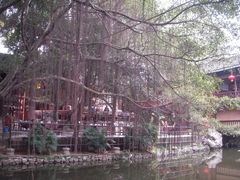 -广西壮族自治区博物馆