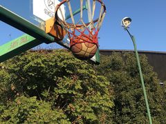 -金华市体育中心