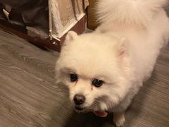 -伽利略剧本探案馆(国贸店)