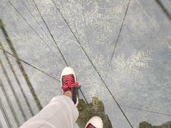 -南丹山森林王国