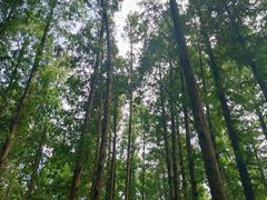 -同里国家湿地公园